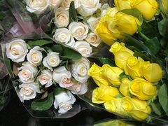 -循礼门鲜花花市(武汉循礼门店)