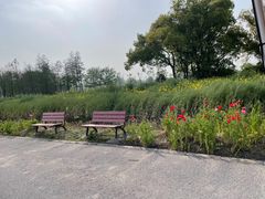 -嘉北郊野公园