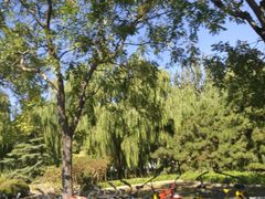 -中化道达尔太阳宫加油站