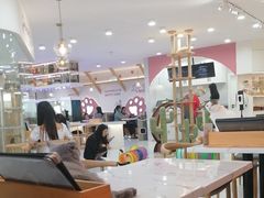-喵园·猫主题咖啡厅·撸猫·猫咖(国贸店)