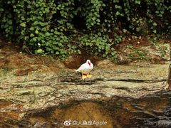 -林坑古村落