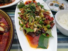-鱼凫人家