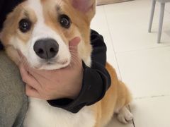 -怪兽屋·羊驼·猫咖·狗咖(俊华广场店)