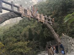 -云台山风景名胜区