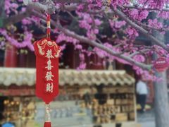 -西安市广仁寺