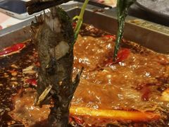 黄辣丁-锦城印象火锅(天府三街店)