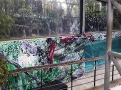 -清迈夜间动物园