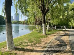 -天鹅湖体育公园