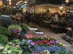 -双季花艺园艺市场(浦东店)