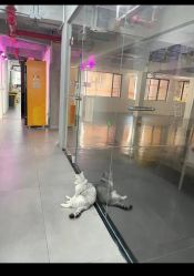 -我舞空间舞蹈培训