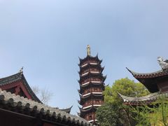 -鸡鸣赐茶(鸡鸣寺路店)