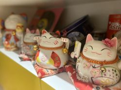 -MZ SKIN CARE逆齢驻颜中心