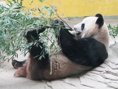 -杭州野生动物世界