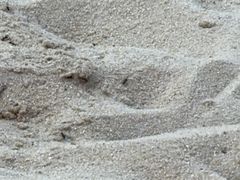 -汤山欢乐雪世界