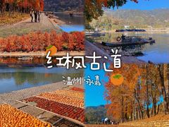 -林坑古村落