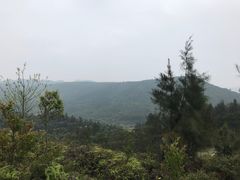 -大姆山草场