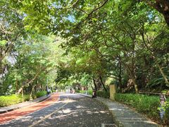 -水濂山森林公园