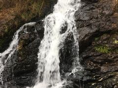 -磐安舞龙峡景区
