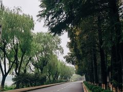 -太阳岛度假酒店