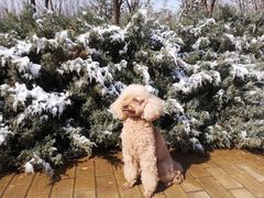 -乐琪宠物(青塔西路店)