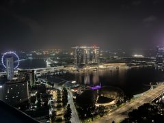 -新加坡瑞士史丹福酒店