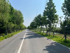 -泗洪洪泽湖湿地景区