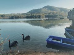 -牛首山文化旅游区