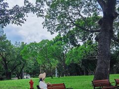 -人民公园(罗湖区)