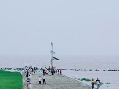 -南汇嘴观海公园