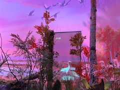 -中国湿地博物馆