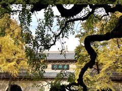-灵谷景区