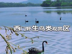 -颐和园