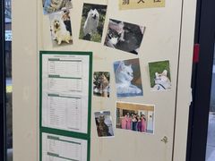 -爱妮康宠物医院·干细胞免疫细胞·肿瘤·心脏(张江店)