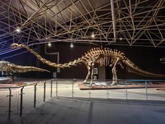 -世界恐龙谷景区