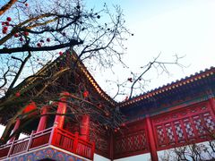 -西安华清御汤酒店