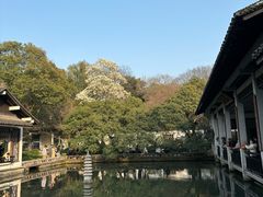 -杭州植物园