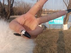 -祥源·阜阳生态乐园