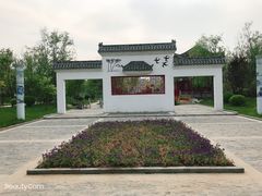 -武清南湖绿博园