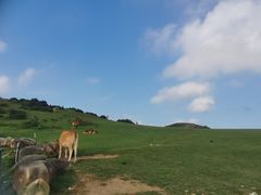 -大姆山草场