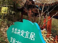 -竹子庵公园