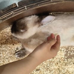 -Zoolung Zoolung动物主题公园(海信广场店)