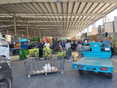 -东方鼎信农副产品交易中心