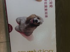 -芭比堂动物医院广州顽皮分院