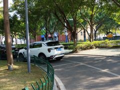 -白鹭洲公园