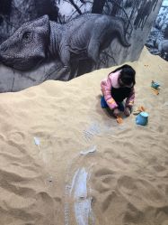 -恐龙探索乐园(磁器口店)