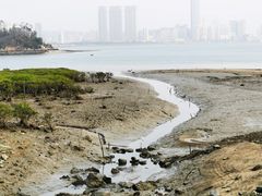 -海沧湾公园