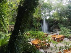 -绿光森林餐厅