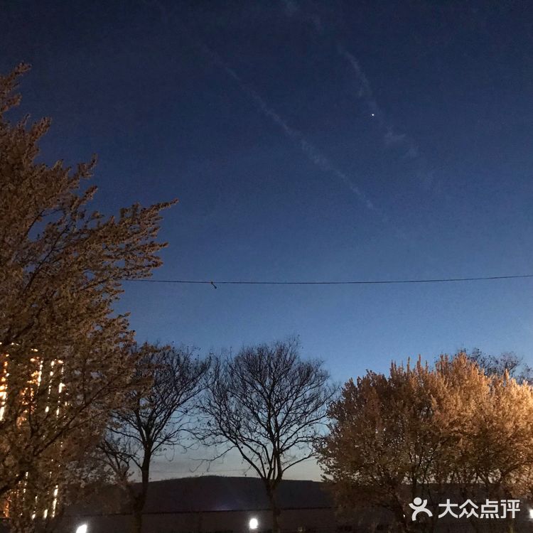 最好的踏青去处就去取快递的路了吧