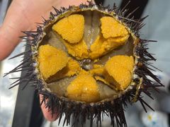 -金海饭店(凤凰山美食城店)