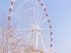 -顾村公园3号门停车场